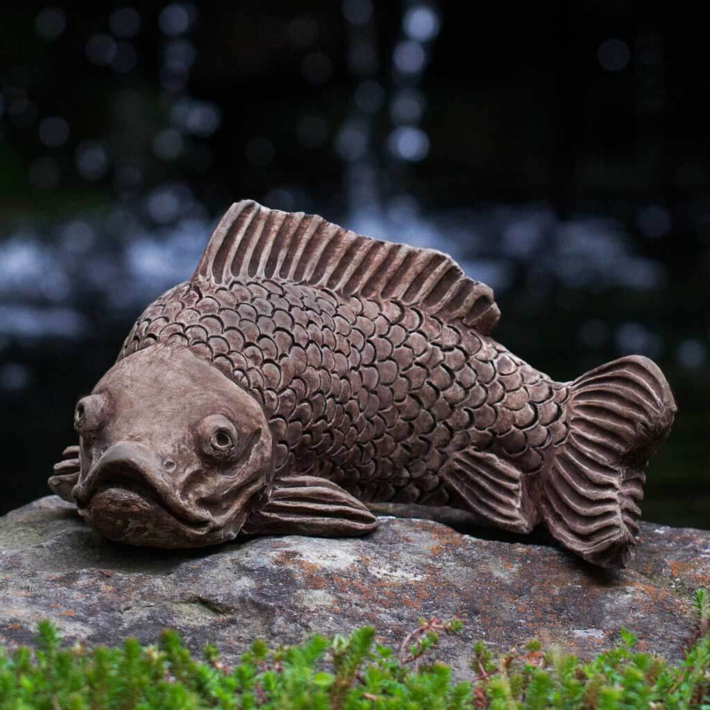 Large Koi