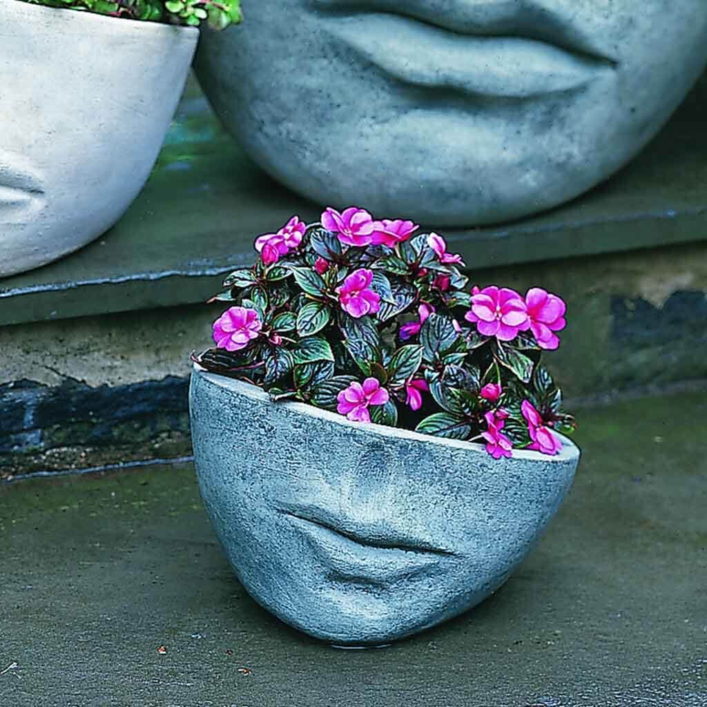 Faccia Planter, Small