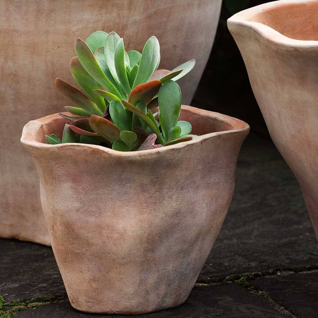 Fox Glove Planter - S/3 view 2