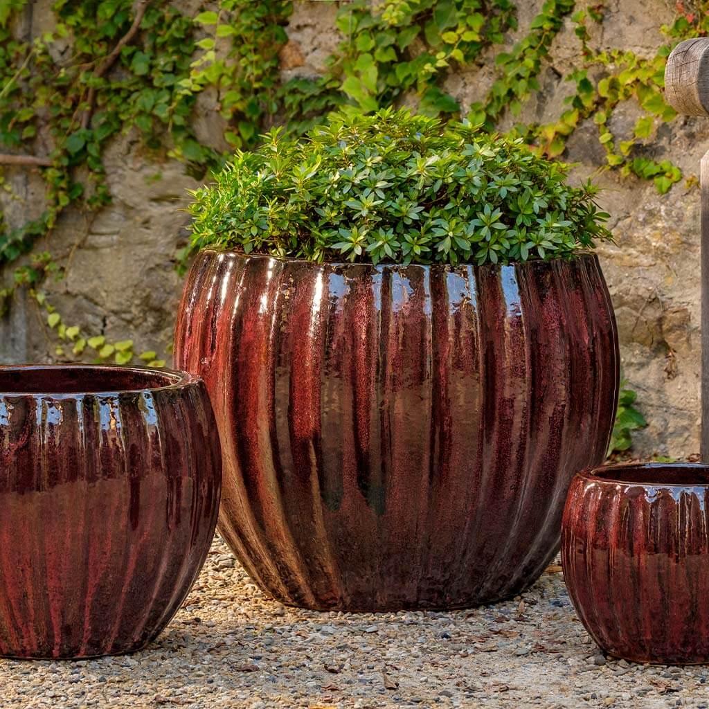 Cabernet Planter - S/3