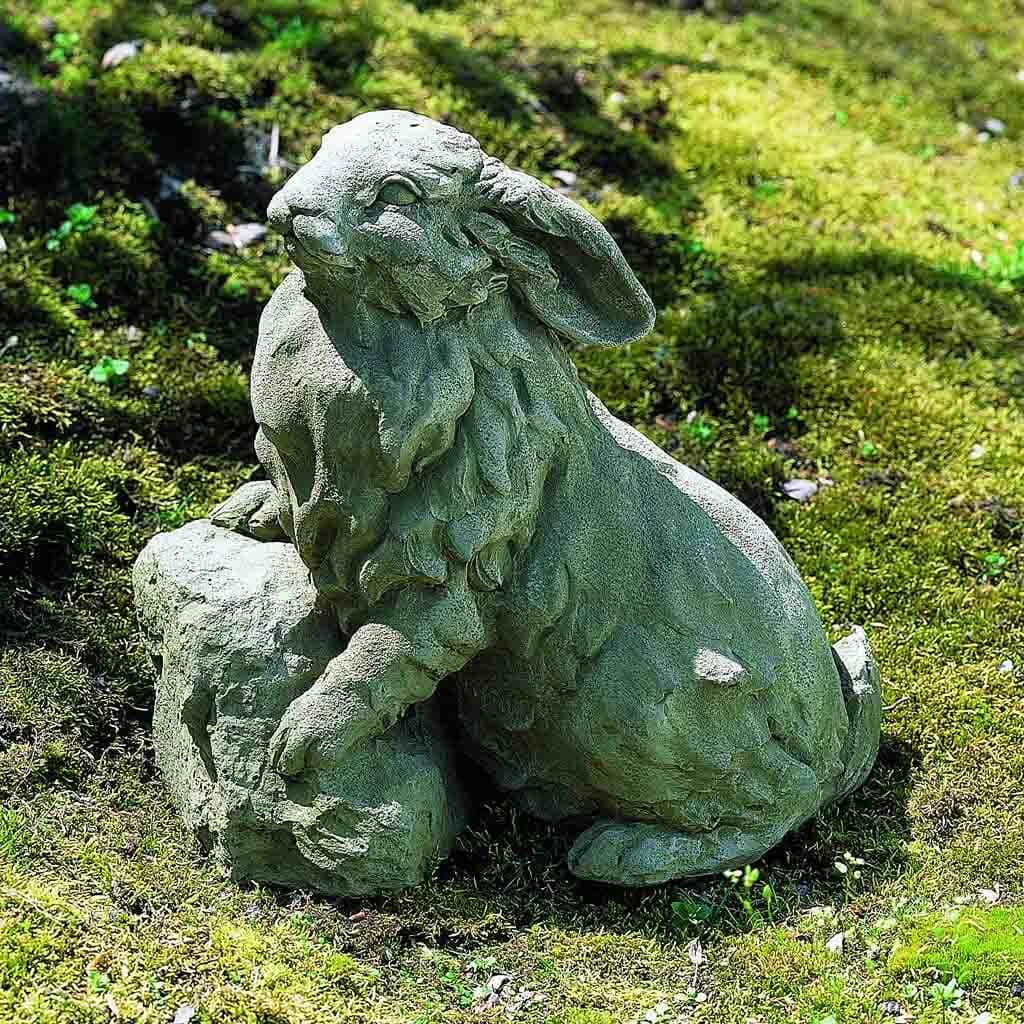 Rabbit on a Rock