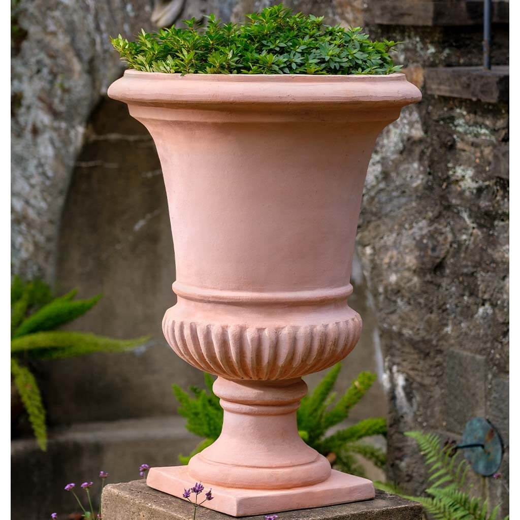 Alberobello Urn - S/1