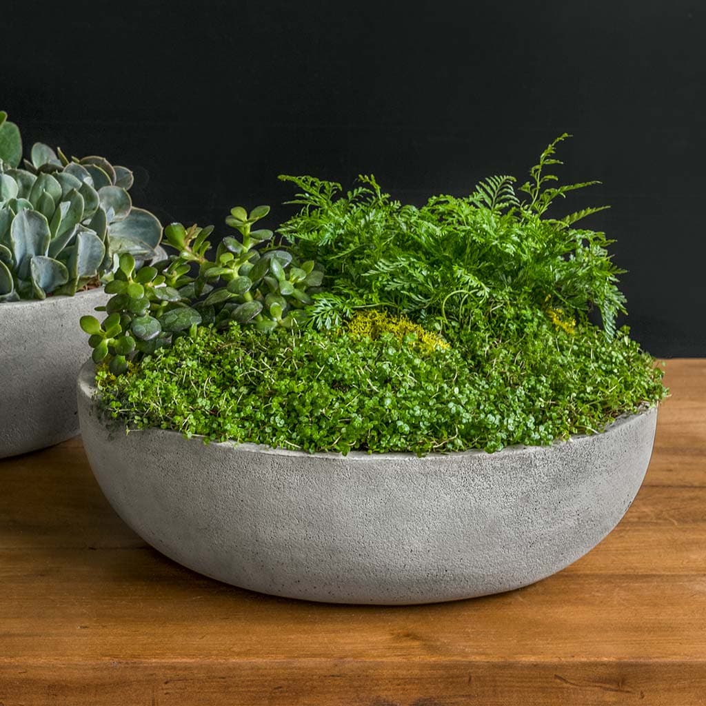 Terrace Bowl, Medium