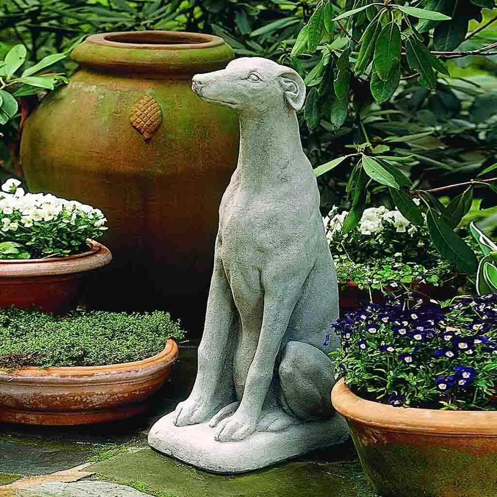 Greyhound