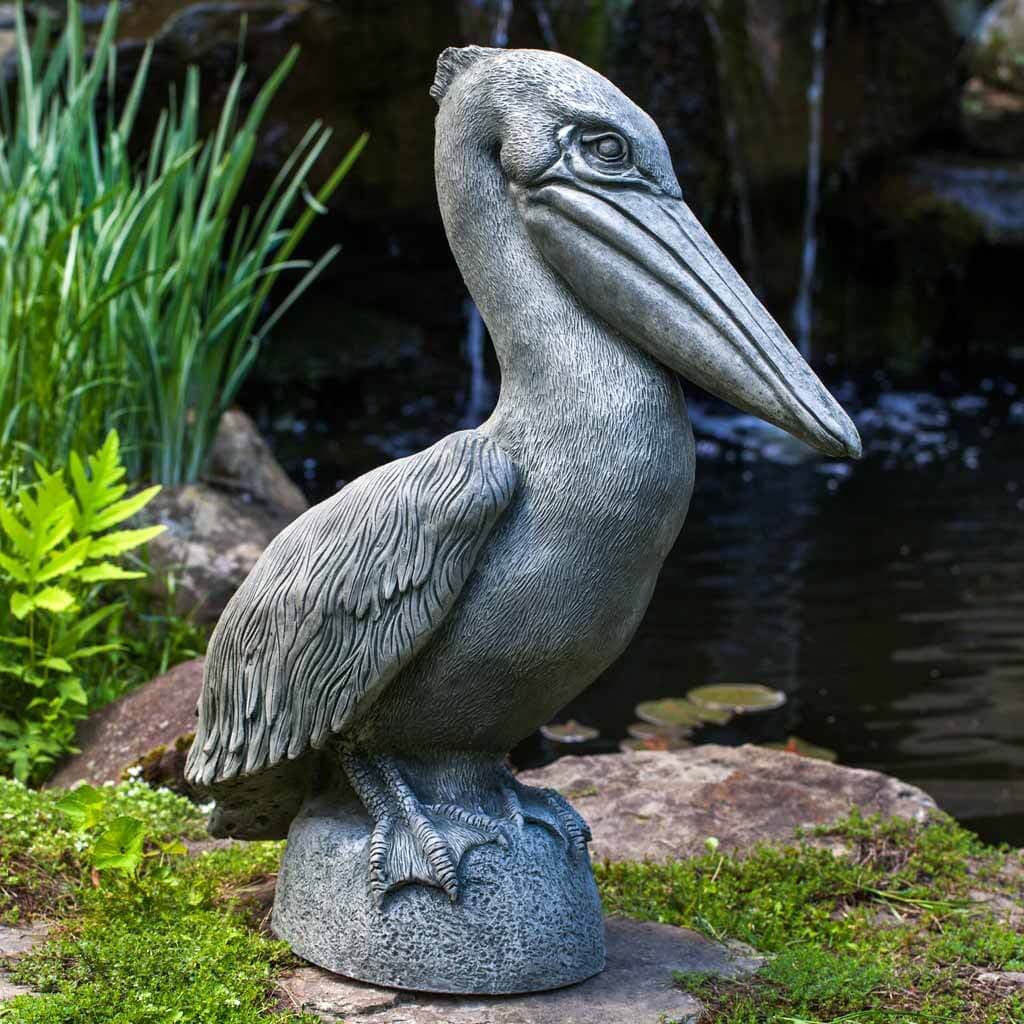 Pelican
