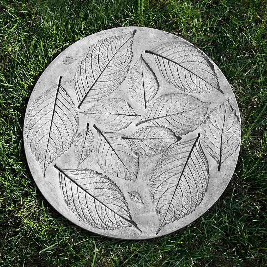 Hydrangea Leaf Stepper