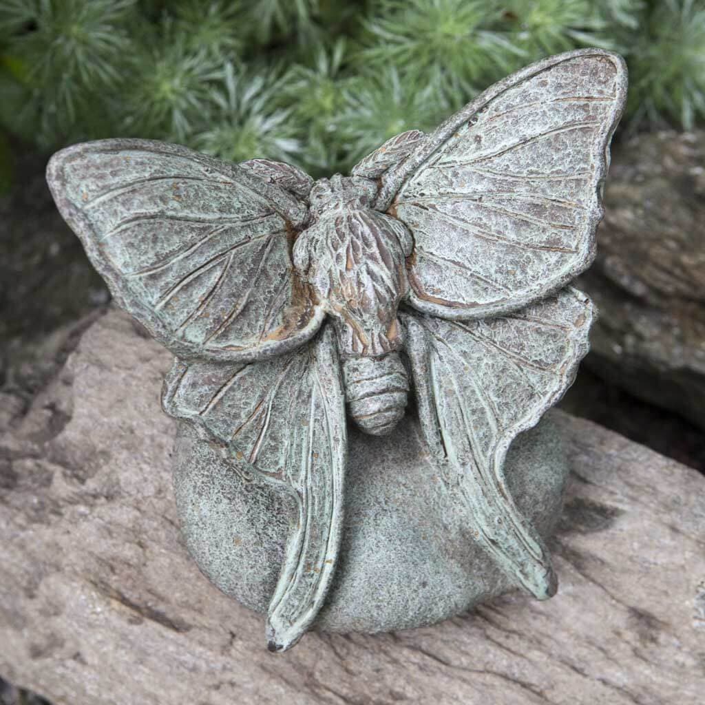 Lunar Moth