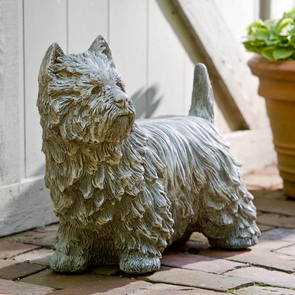 Westie