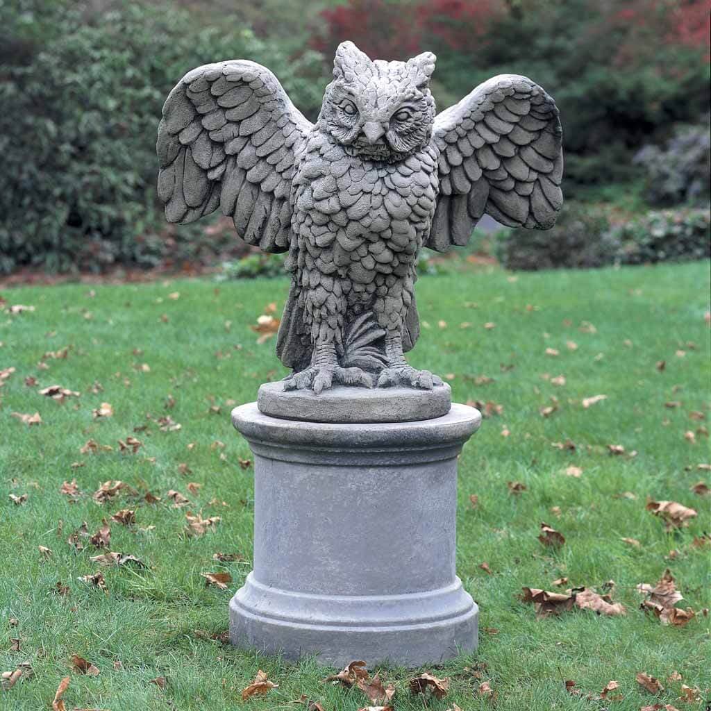 Soaring Owl
