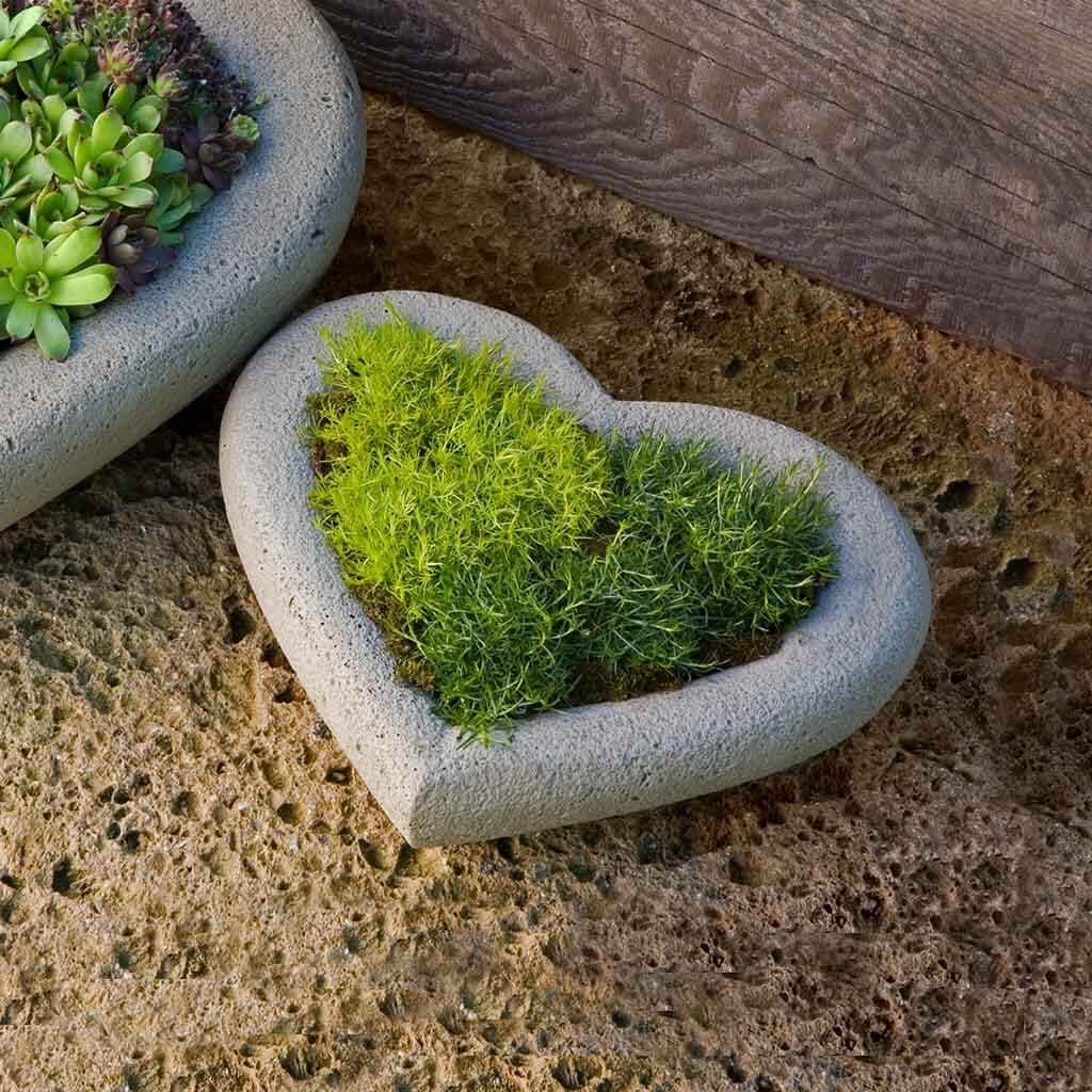 Heart Planter, Small