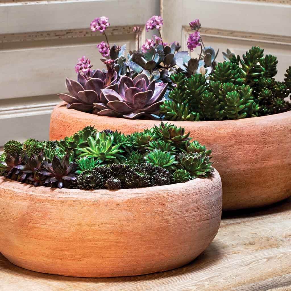 Annalise Planter - Terra Nova - S/2