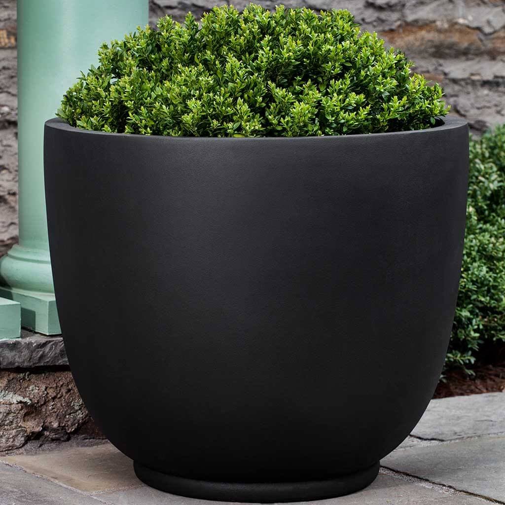 Md Danilo Planter