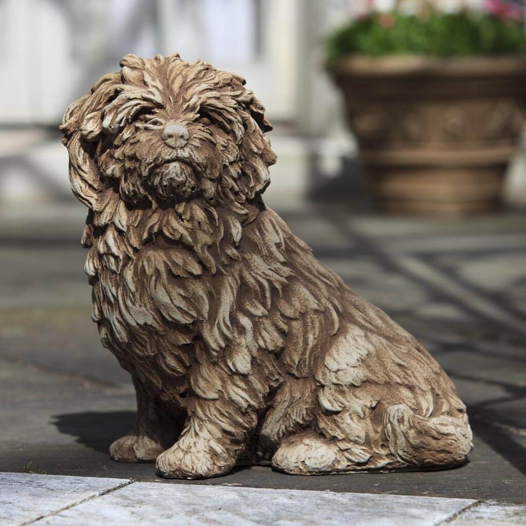 Fluffy Dog