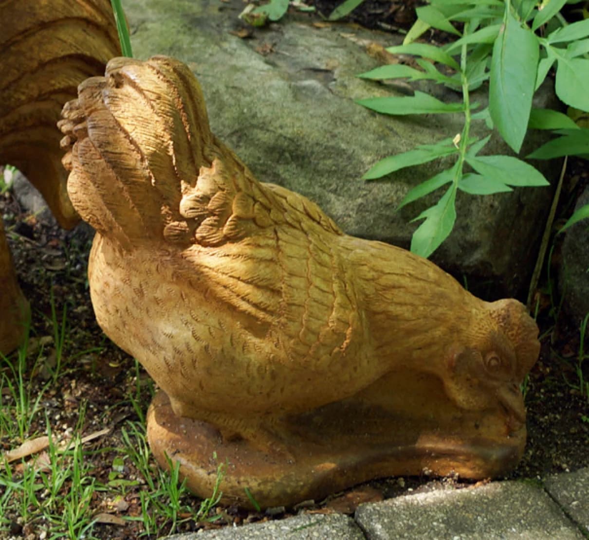 Hen