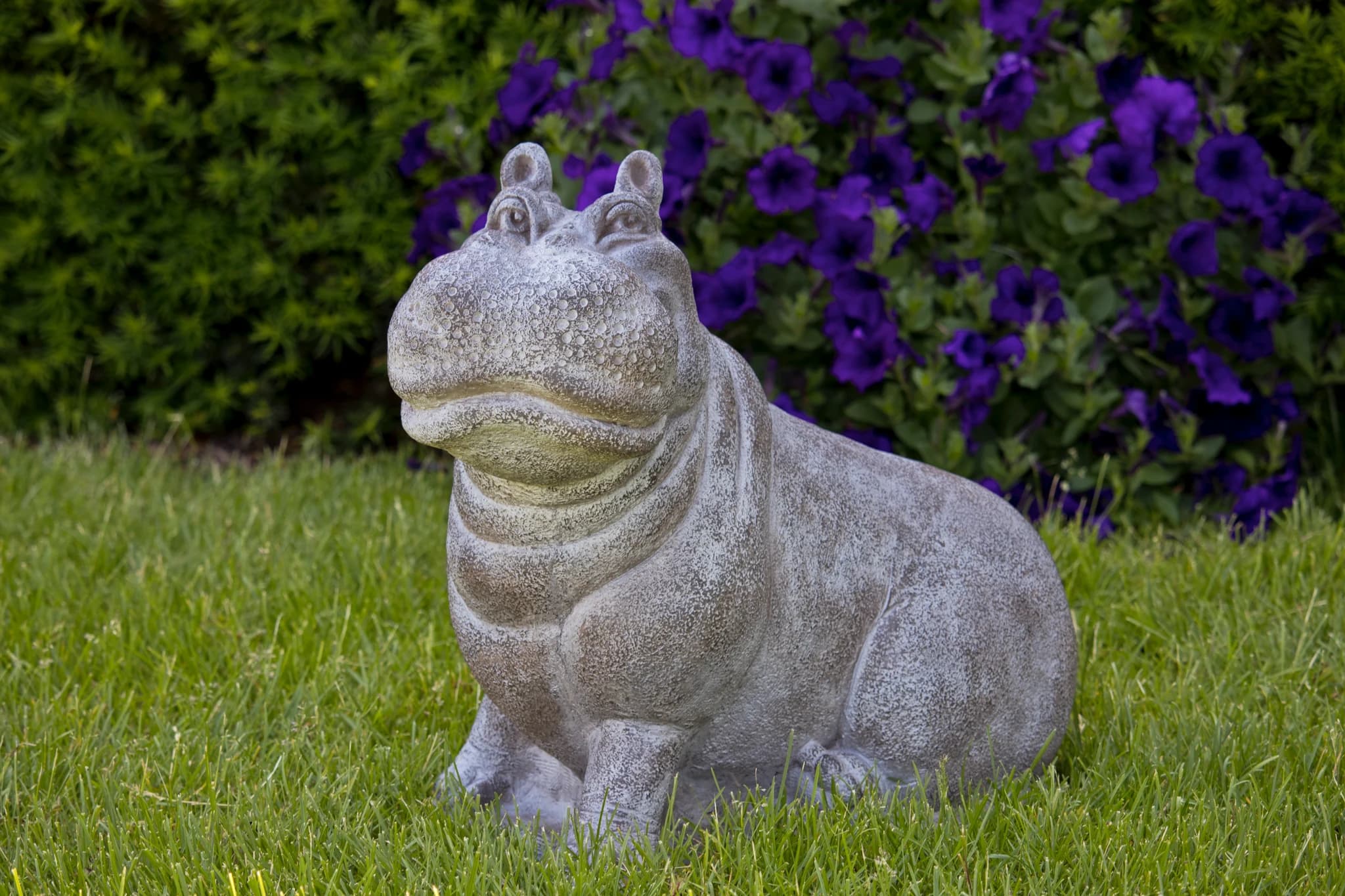 "Henri" the Hippo
