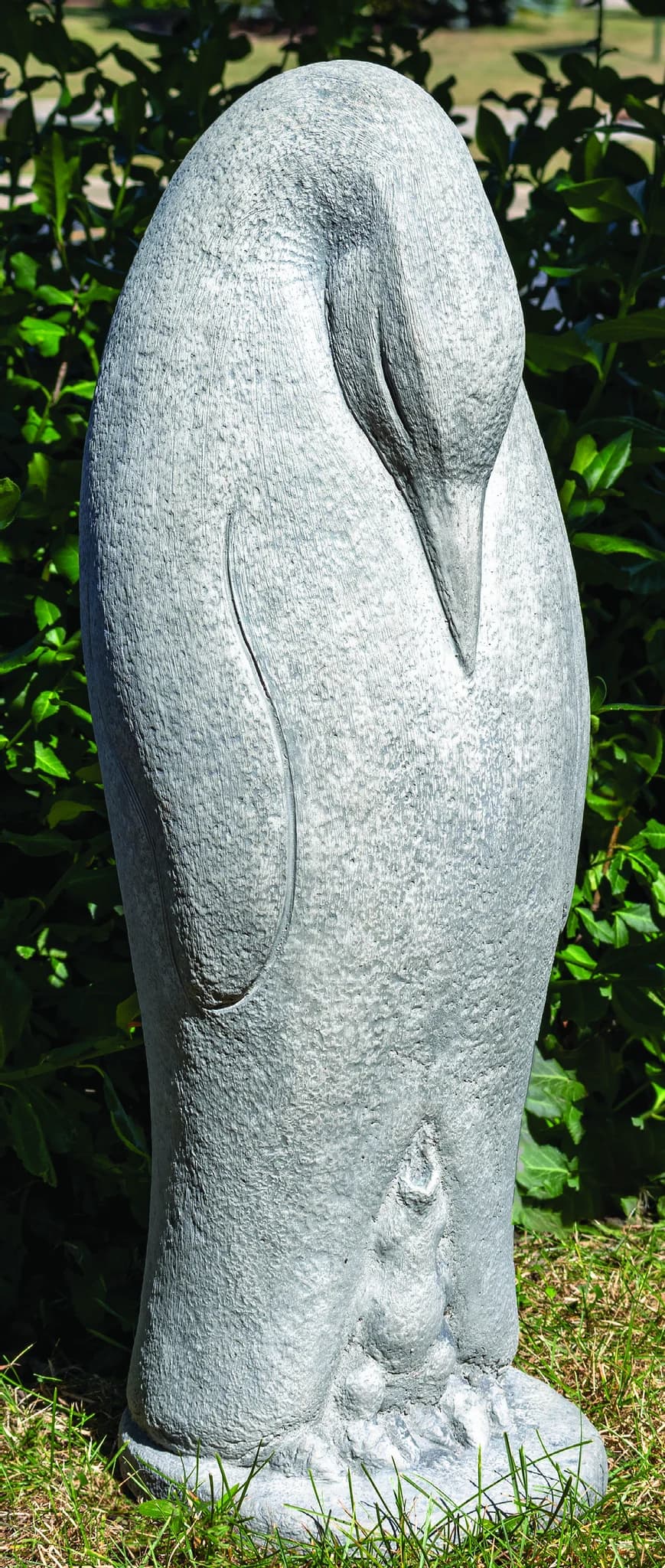 Emperor Penquin