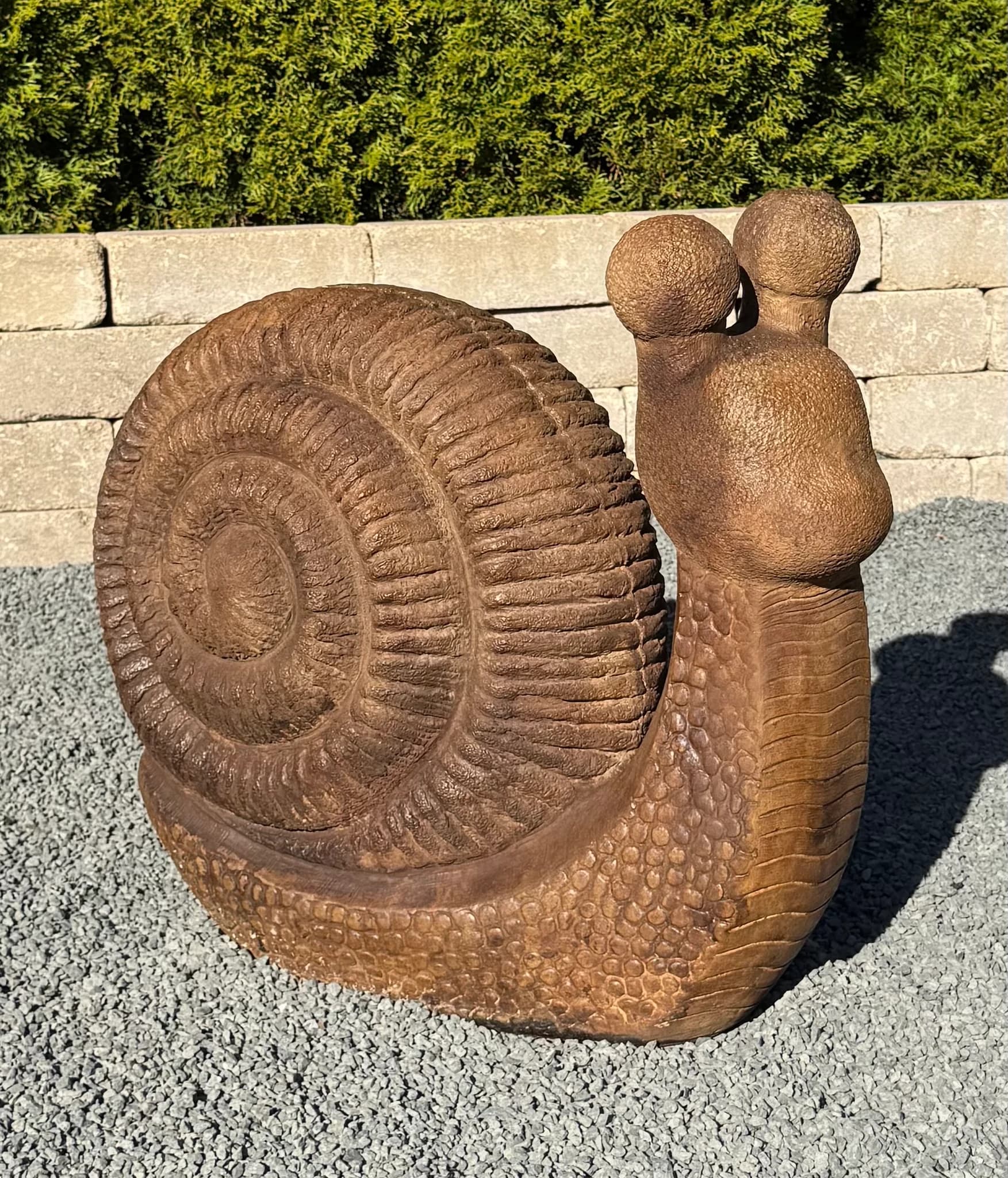 Garden Snail