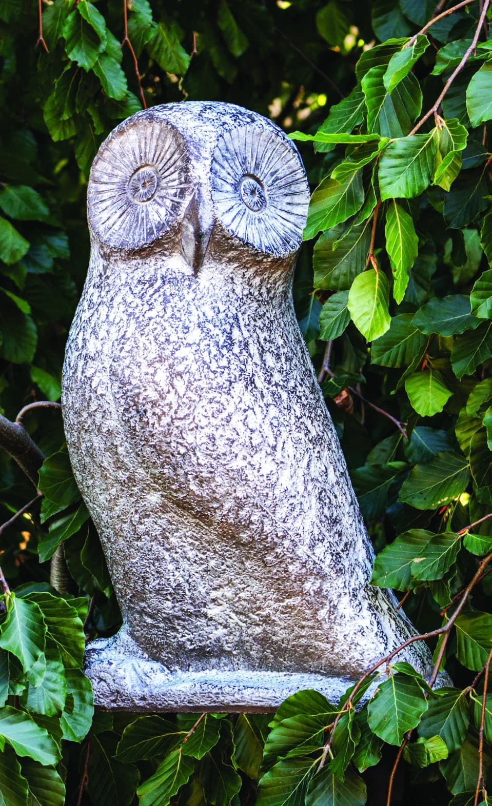 Abstract Owl