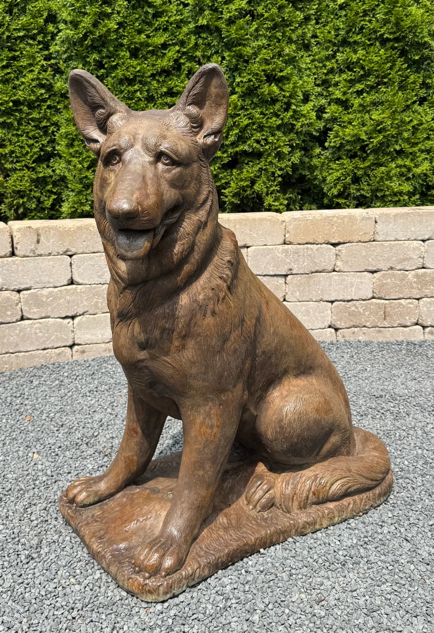German Shepherd