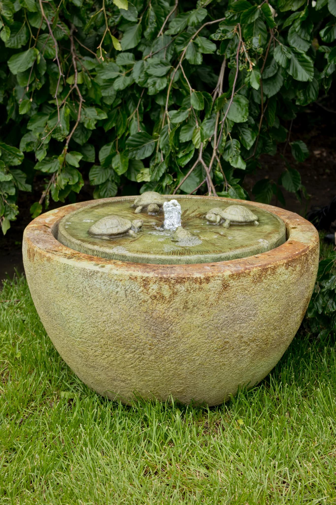 Gathering Turtles Fountain