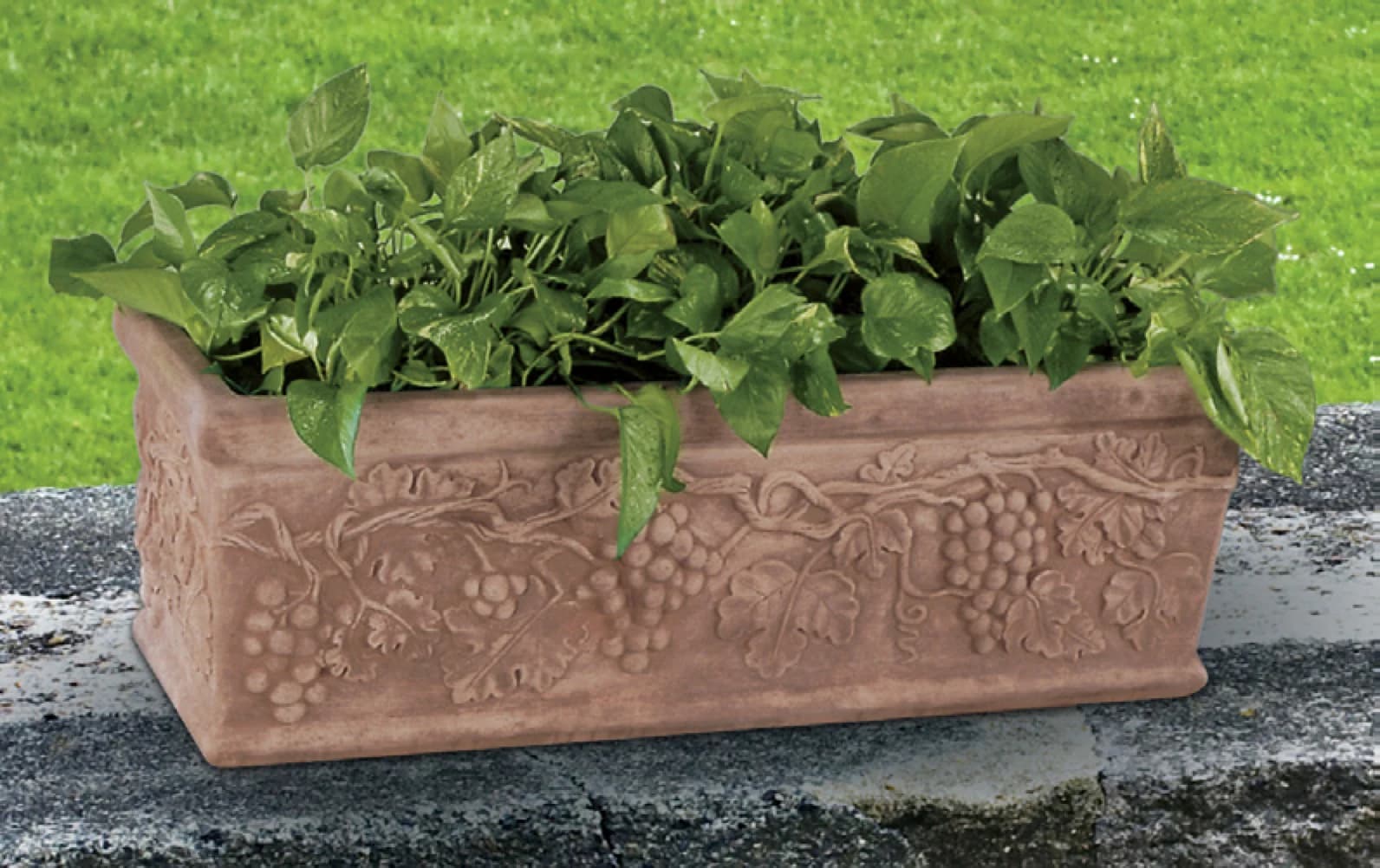 Grapevine Planter Box