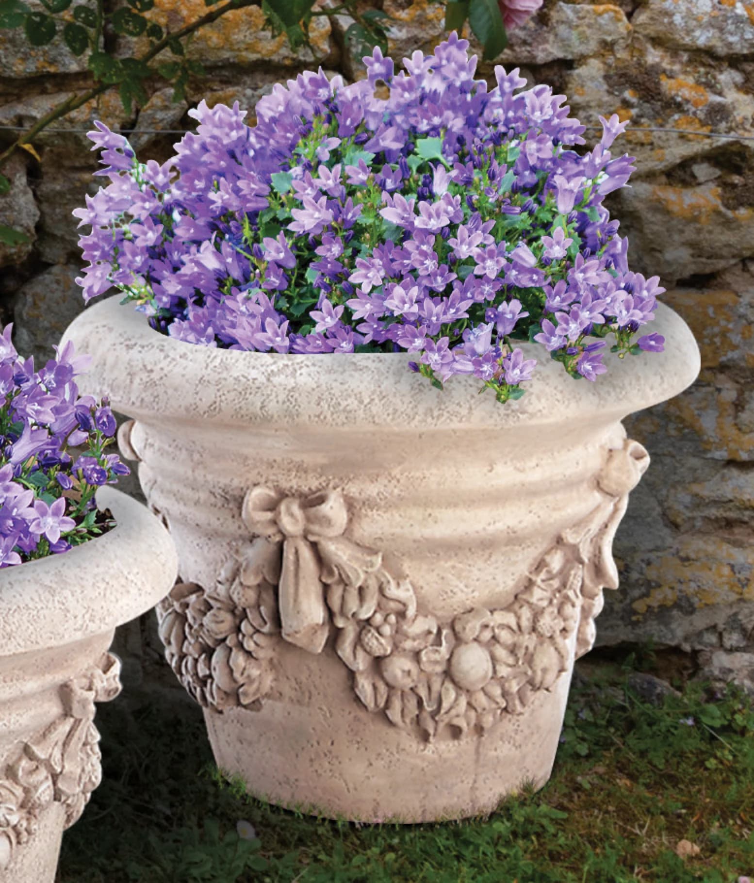 Giant Palm Pot Classico