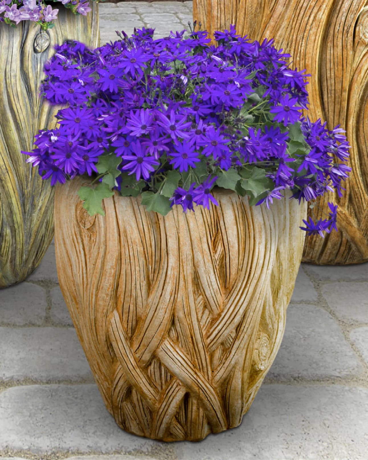 Small Banyan Planter
