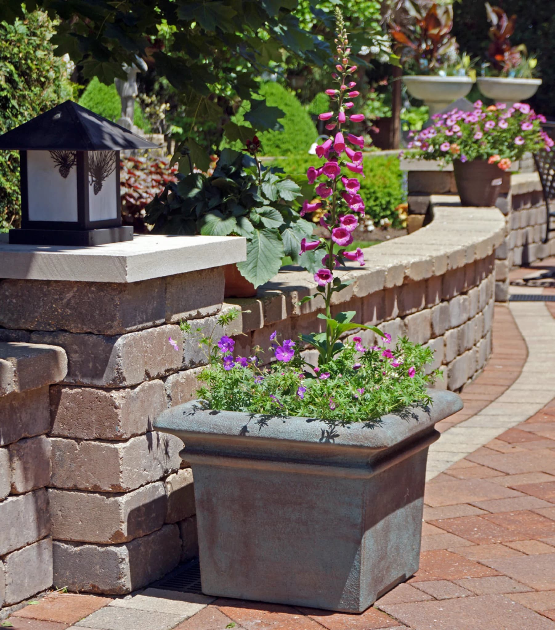 Quadrette Avanti II Planter