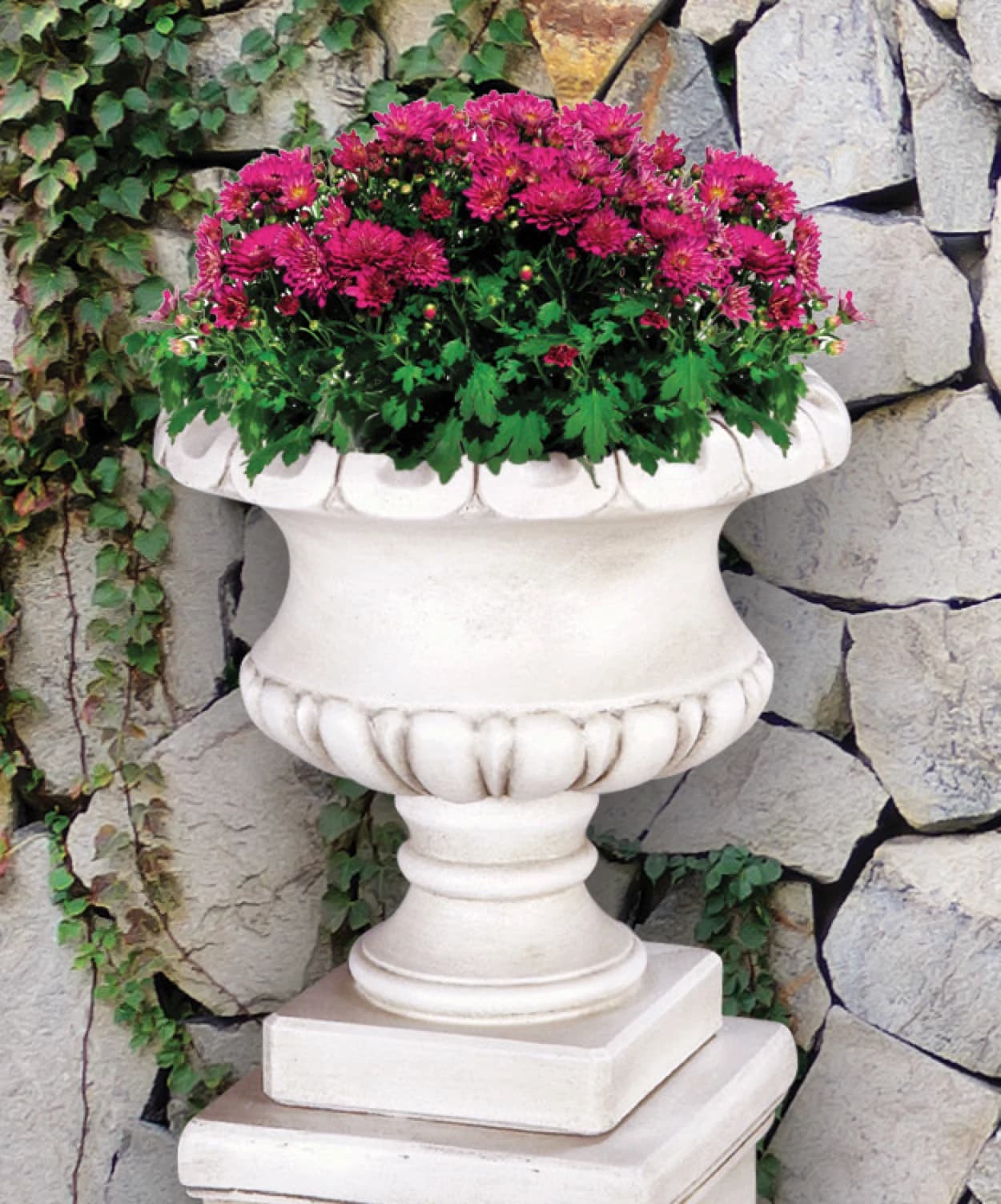 Regent Scallop Urn